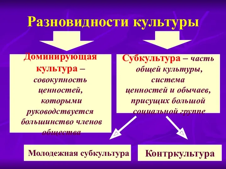 Разновидности культуры Доминирующая культура – совокупность ценностей, которыми руководствуется большинство