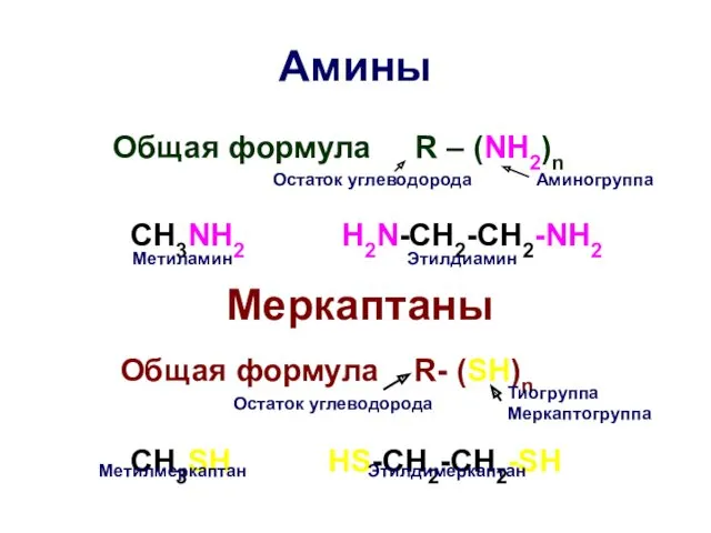 Амины Общая формула R – (NH2)n CH3NH2 H2N-CH2-CH2-NH2 Меркаптаны Общая