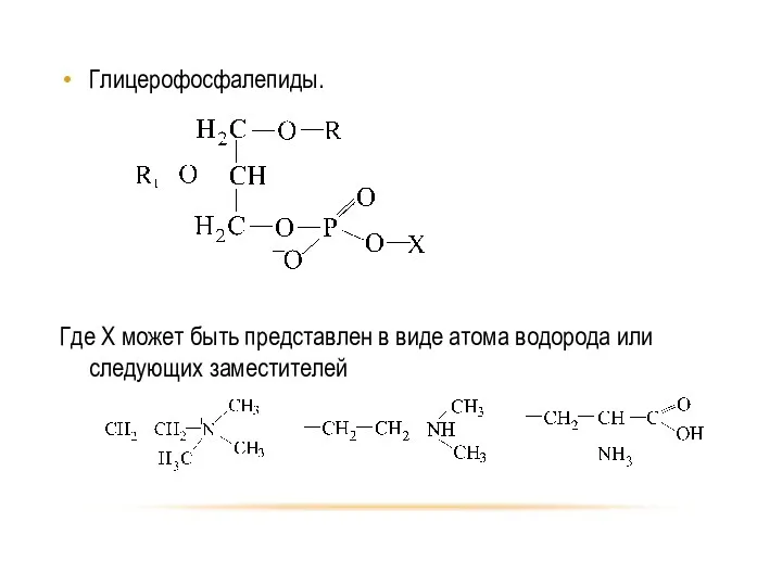 Глицерофосфалепиды. Где X может быть представлен в виде атома водорода или следующих заместителей