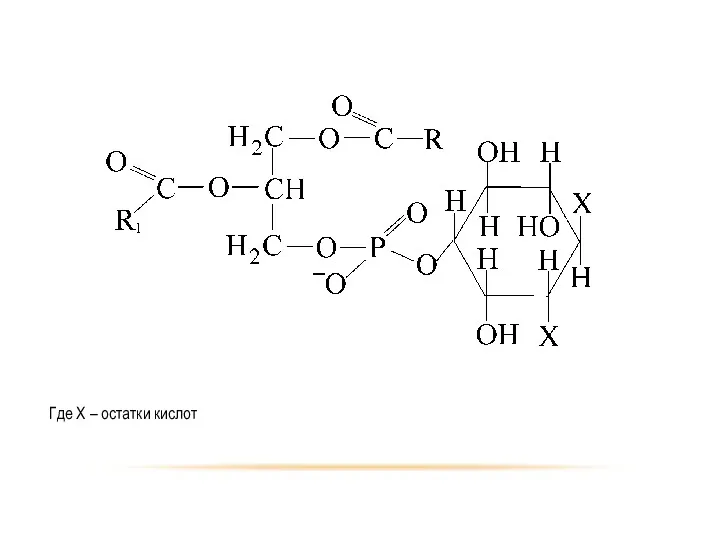 Где Х – остатки кислот