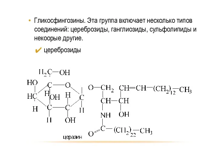 Гликосфингозины. Эта группа включает несколько типов соединений: цереброзиды, ганглиозиды, сульфолипиды и некоорые другие. цереброзиды