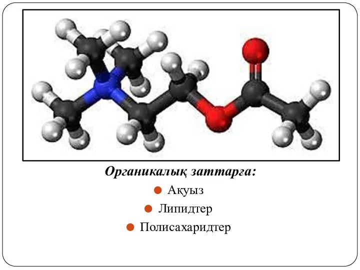 Органикалық заттарға: Ақуыз Липидтер Полисахаридтер