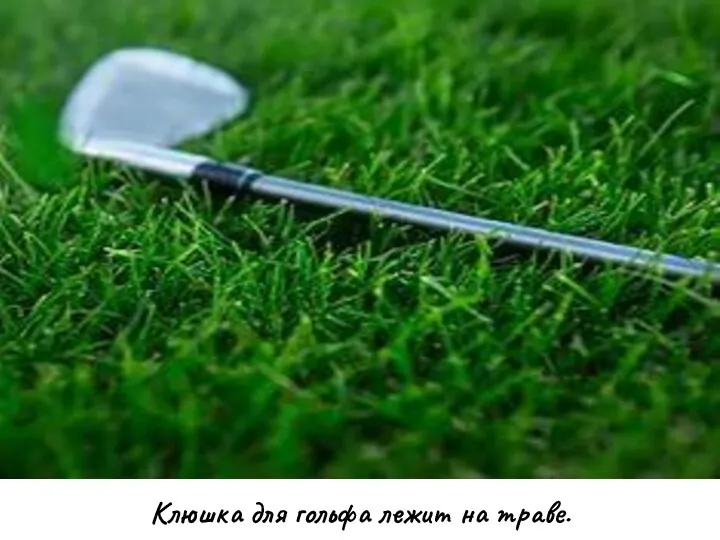 Клюшка для гольфа лежит на траве.