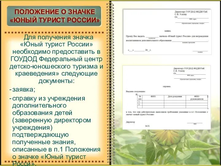 Для получения значка «Юный турист России» необходимо предоставить в ГОУДОД