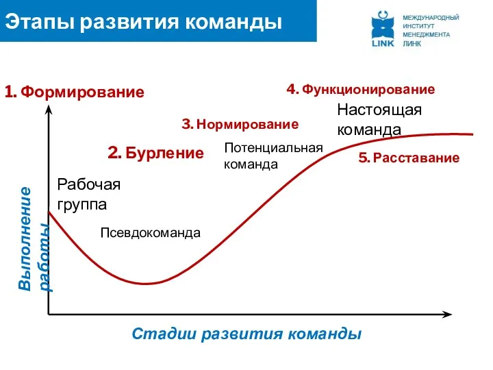 Этапы развития команды