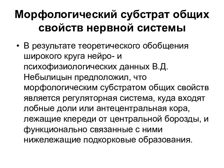 Морфологический субстрат общих свойств нервной системы В результате теоретического обобщения