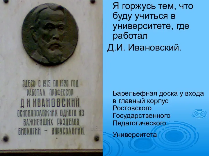 Я горжусь тем, что буду учиться в университете, где работал Д.И. Ивановский. Барельефная