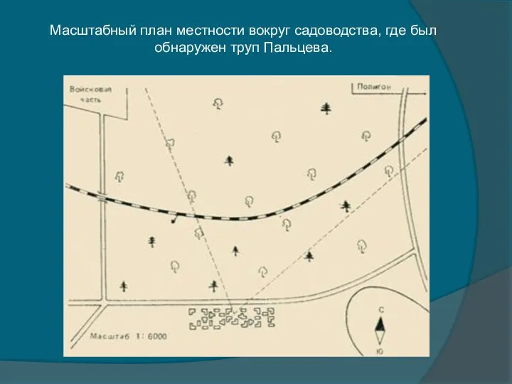 Масштабный план местности вокруг садоводства, где был обнаружен труп Пальцева.