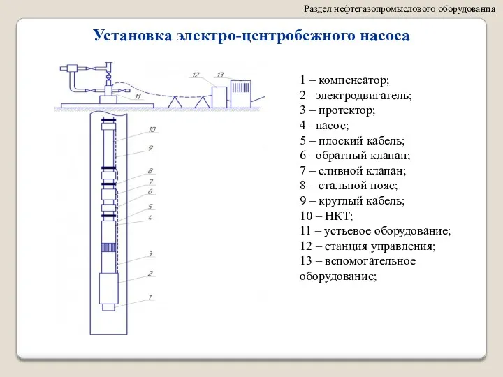 Раздел нефтегазопромыслового оборудования Установка электро-центробежного насоса 1 – компенсатор; 2