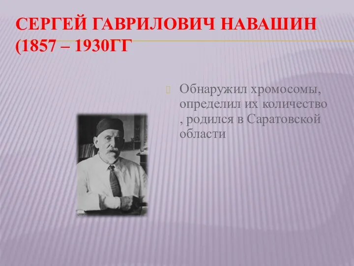 СЕРГЕЙ ГАВРИЛОВИЧ НАВАШИН (1857 – 1930ГГ Обнаружил хромосомы, определил их количество , родился в Саратовской области