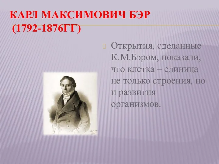 КАРЛ МАКСИМОВИЧ БЭР (1792-1876ГГ) Открытия, сделанные К.М.Бэром, показали, что клетка – единица не