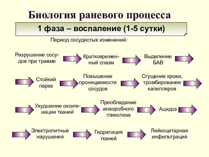 Биология раневого процесса 1 фаза – воспаление (1-5 сутки) Ухудшение