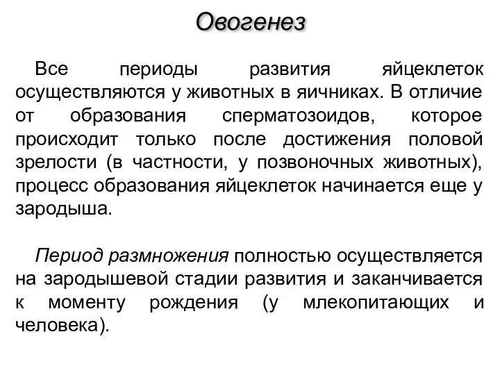 Все периоды развития яйцеклеток осуществляются у животных в яичниках. В