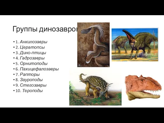Группы динозавров 1. Анкилозавры 2. Цератопсы 3. Дино-птицы 4. Гадрозавры 5. Орнитоподы 6.
