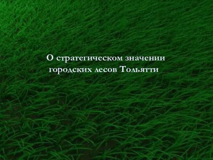 О стратегическом значении городских лесов Тольятти