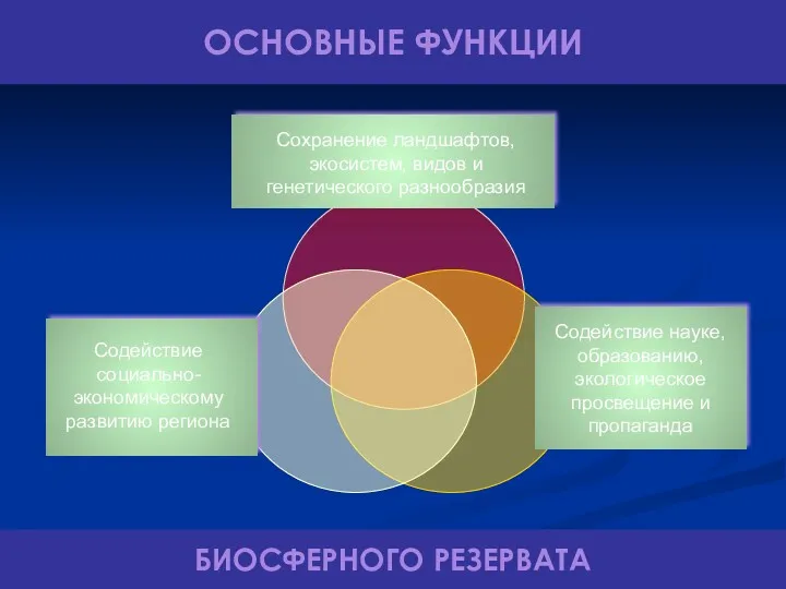 ОСНОВНЫЕ ФУНКЦИИ БИОСФЕРНОГО РЕЗЕРВАТА Сохранение ландшафтов, экосистем, видов и генетического