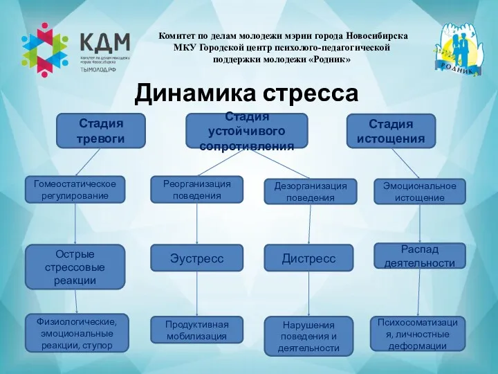 Динамика стресса Стадия тревоги Реорганизация поведения Острые стрессовые реакции Эмоциональное