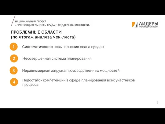 ПРОБЛЕМНЫЕ ОБЛАСТИ (по итогам анализа чек-листа) НАЦИОНАЛЬНЫЙ ПРОЕКТ «ПРОИЗВОДИТЕЛЬНОСТЬ ТРУДА