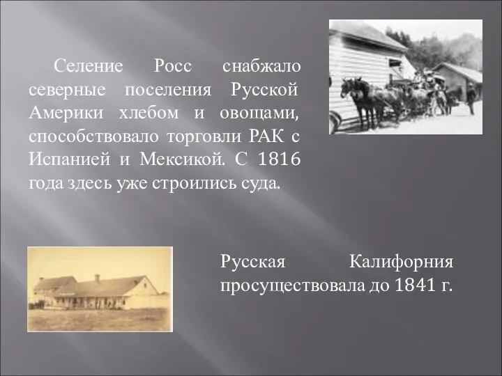 Селение Росс снабжало северные поселения Русской Америки хлебом и овощами,