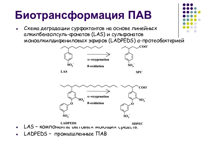 Биотрансформация ПАВ Схема деградации сурфактантов на основе линейных алкилбензолсуль-фонатов (LAS)