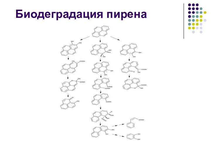 Биодеградация пирена