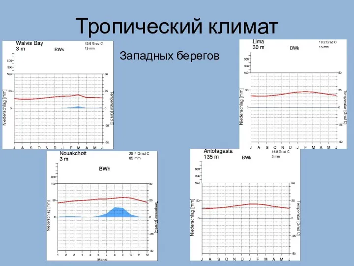 Тропический климат Западных берегов