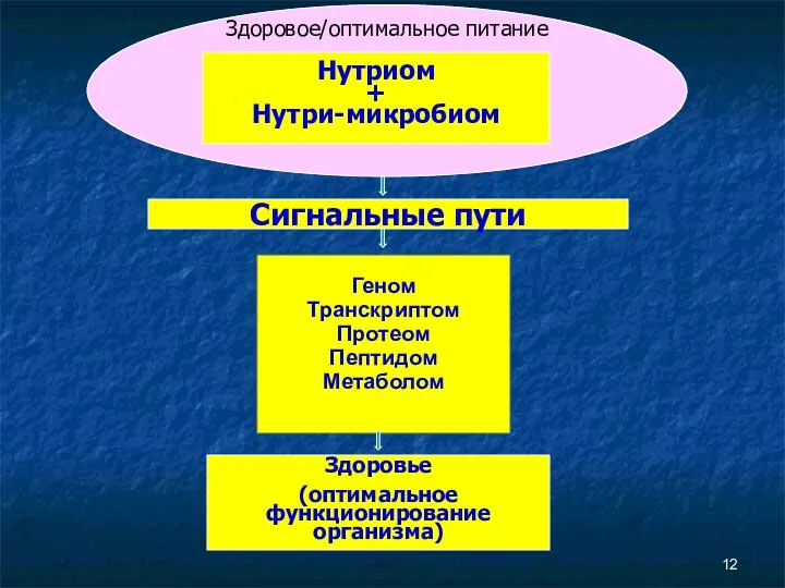 Геном Транскриптом Протеом Пептидом Метаболом Здоровье (оптимальное функционирование организма) Здоровое/оптимальное питание Нутриом + Нутри-микробиом Сигнальные пути