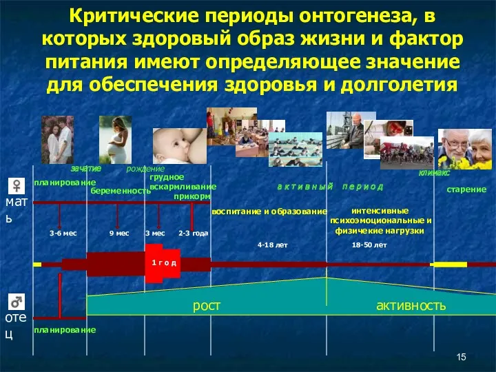 Критические периоды онтогенеза, в которых здоровый образ жизни и фактор