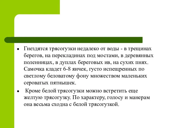 Гнездятся трясогузки недалеко от воды - в трещинах берегов, на