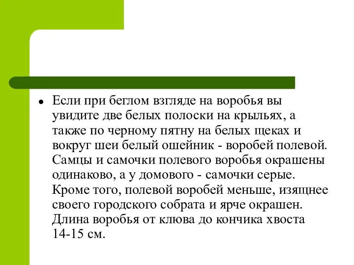 Если при беглом взгляде на воробья вы увидите две белых