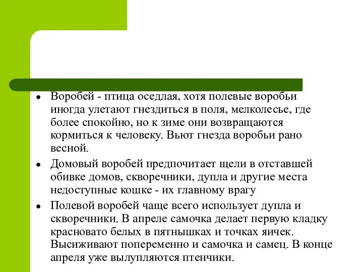 Воробей - птица оседлая, хотя полевые воробьи иногда улетают гнездиться