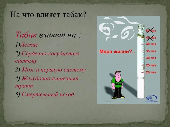 Табак влияет на : 1)Легкие 2) Сердечно-сосудистую систему 3) Мозг