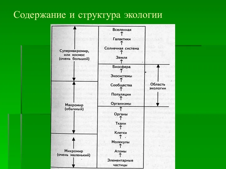 Содержание и структура экологии