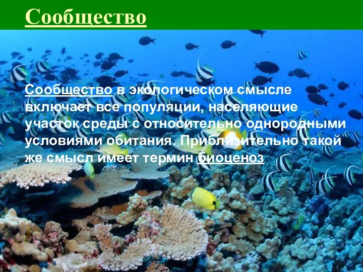 Сообщество Сообщество в экологическом смысле включает все популяции, населяющие участок