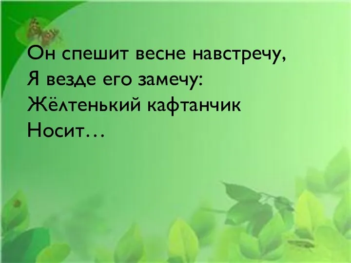 Он спешит весне навстречу, Я везде его замечу: Жёлтенький кафтанчик Носит…