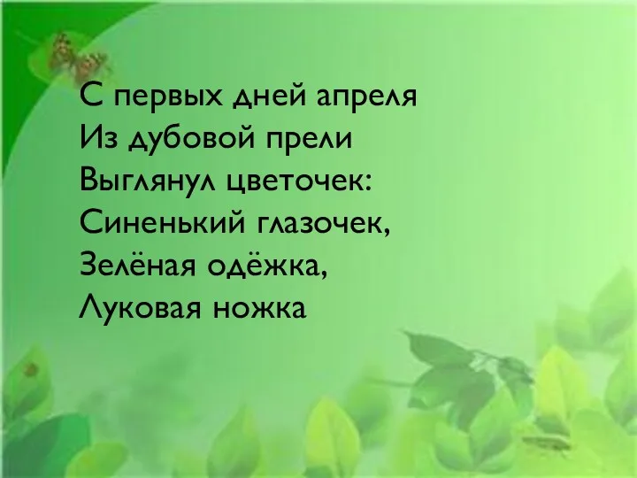 С первых дней апреля Из дубовой прели Выглянул цветочек: Синенький глазочек, Зелёная одёжка, Луковая ножка