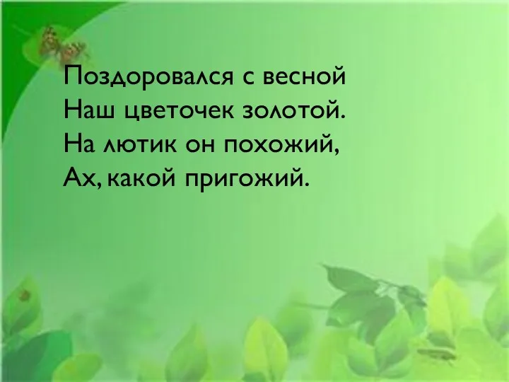 Поздоровался с весной Наш цветочек золотой. На лютик он похожий, Ах, какой пригожий.