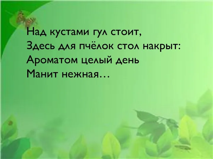 Над кустами гул стоит, Здесь для пчёлок стол накрыт: Ароматом целый день Манит нежная…