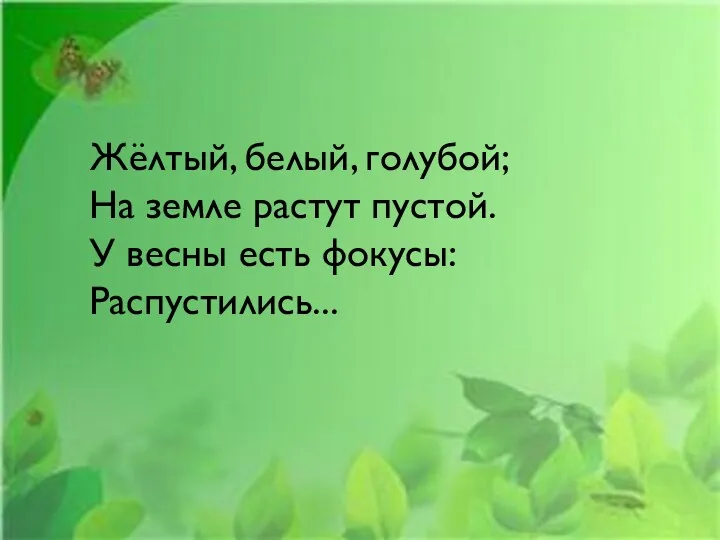 Жёлтый, белый, голубой; На земле растут пустой. У весны есть фокусы: Распустились...