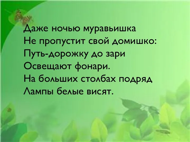 Даже ночью муравьишка Не пропустит свой домишко: Путь-дорожку до зари