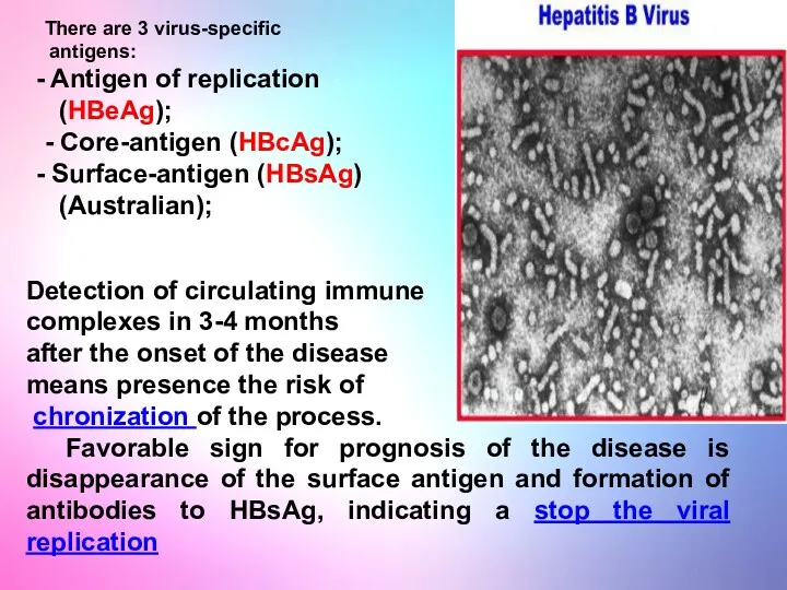 There are 3 virus-specific antigens: Antigen of replication (HBeAg); - Core-antigen (HBcAg); Surface-antigen