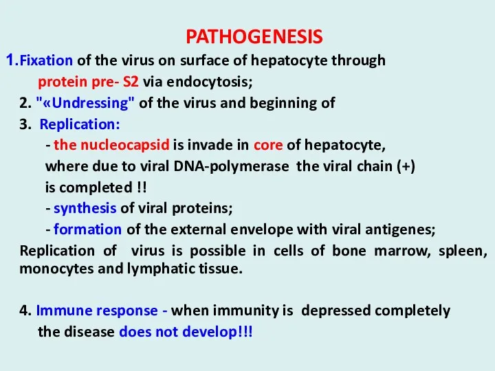 PATHOGENESIS Fixation of the virus on surface of hepatocyte through protein pre- S2