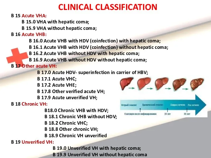 CLINICAL CLASSIFICATION B 15 Acute VHA: B 15.0 VHA with hepatic coma; B