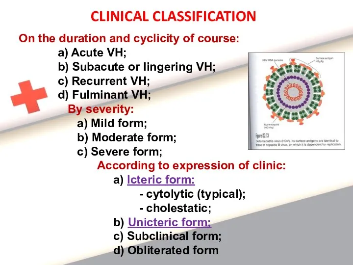 CLINICAL CLASSIFICATION On the duration and cyclicity of course: a) Acute VH; b)