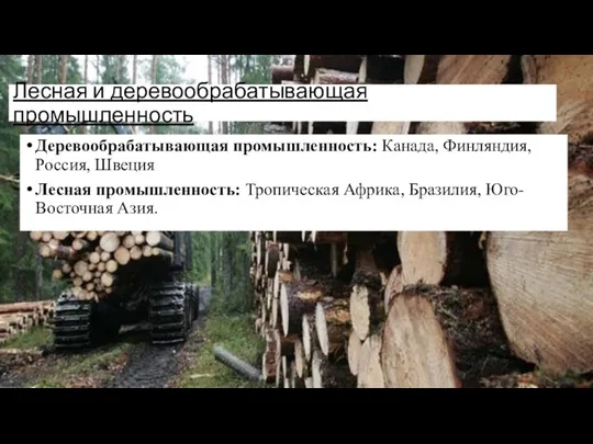 Лесная и деревообрабатывающая промышленность Деревообрабатывающая промышленность: Канада, Финляндия, Россия, Швеция