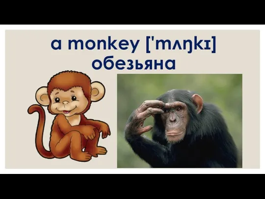 a monkey ['mʌŋkɪ] обезьяна