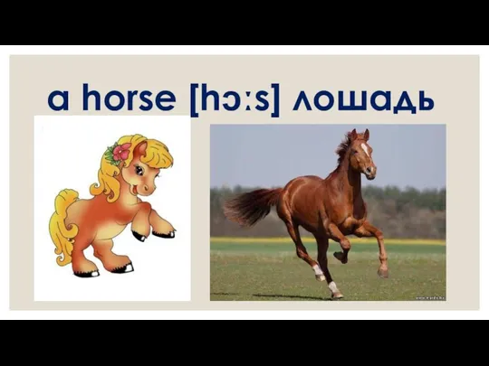 a horse [hɔːs] лошадь