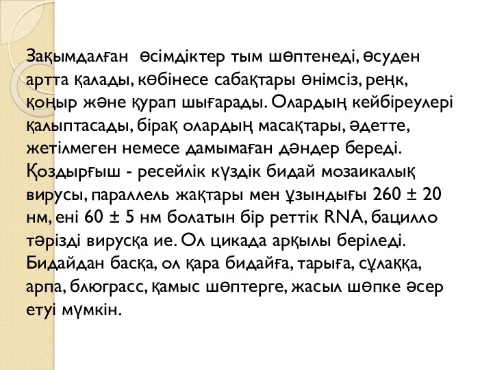 Зақымдалған өсімдіктер тым шөптенеді, өсуден артта қалады, көбінесе сабақтары өнімсіз,