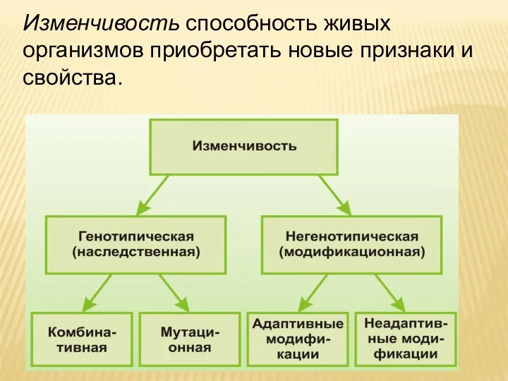 Изменчивость способность живых организмов приобретать новые признаки и свойства.