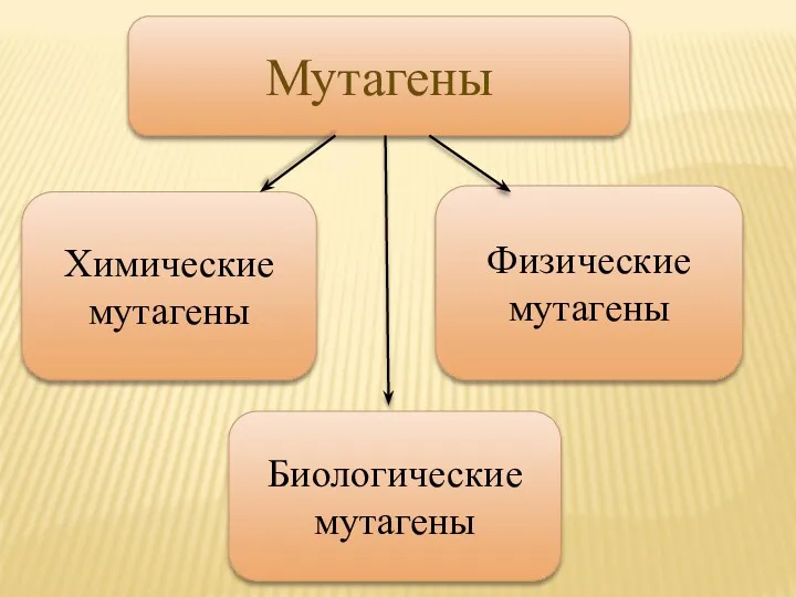 Мутагены Химические мутагены Физические мутагены Биологические мутагены